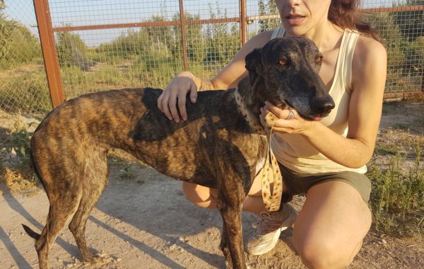 Cuca 3