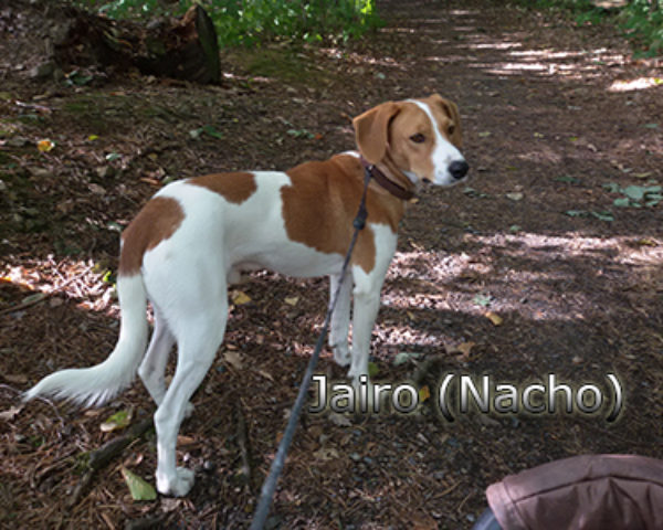 Jairo_Nacho-(2)web