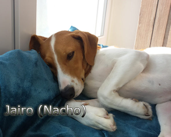 Jairo_Nacho-(3)web