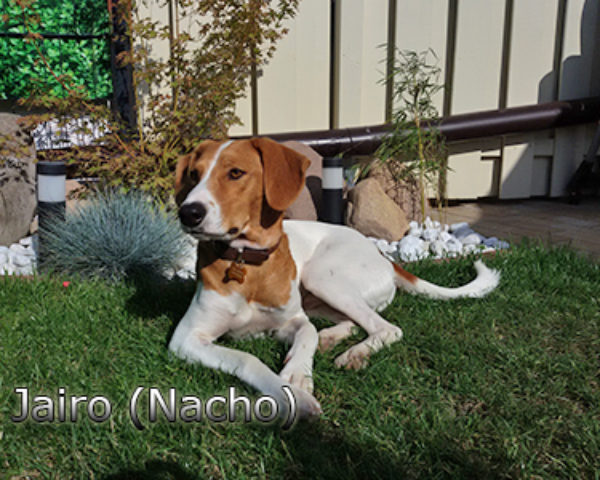 Jairo_Nacho-(4)web