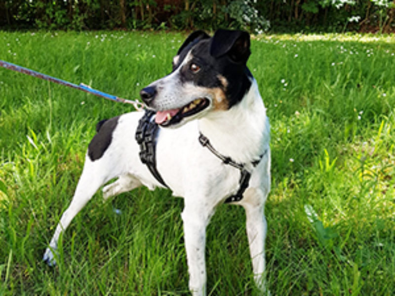 Olvido_Update_Juni_2019-(6)web