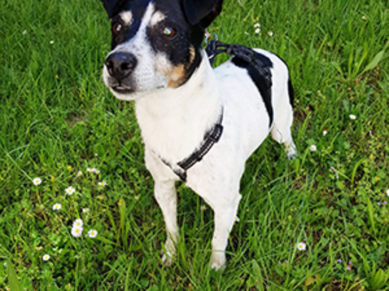 Olvido_Update_Juni_2019-(8)web