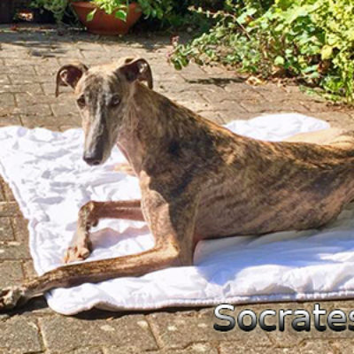 Socrates14092019-(1)web