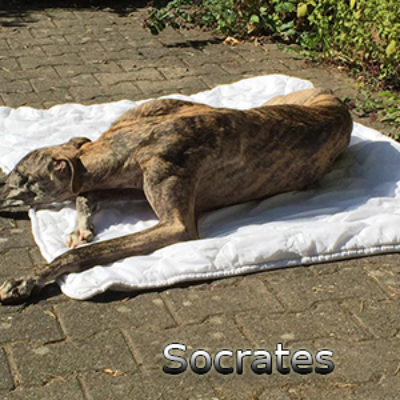 Socrates14092019-(2)web