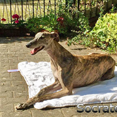 Socrates14092019-(3)web