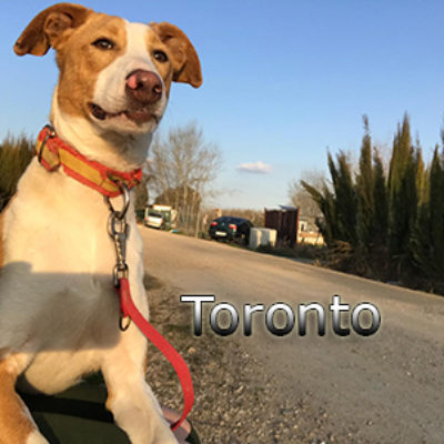 Toronto_Update_30092019-(4)web
