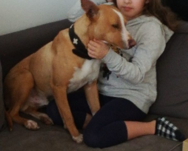 2018-02-17-PHOTO-00003536