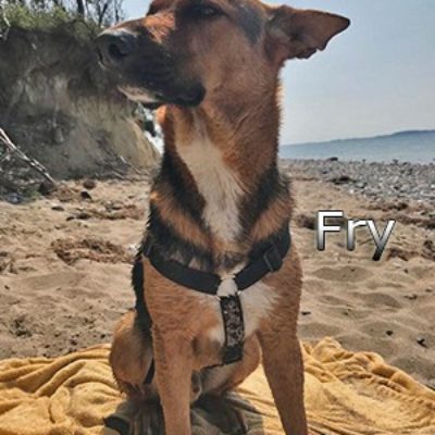 Fry_Update_14092019-(4)web