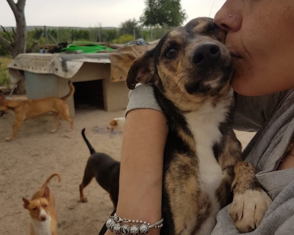 20180423_183355_resized