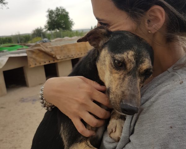 20180423_183400_resized