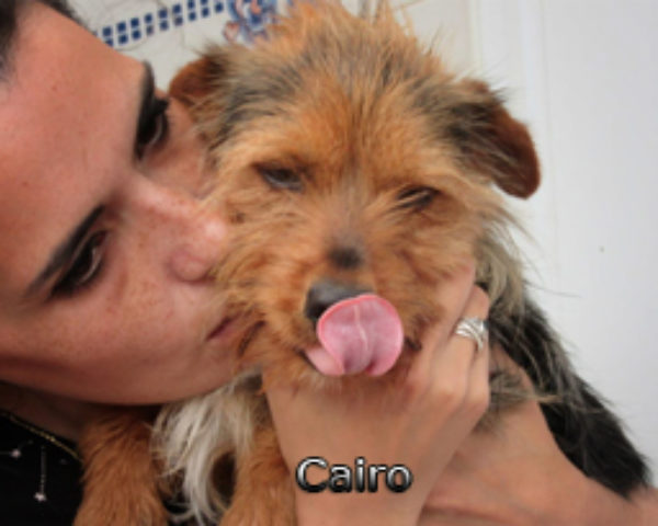 Cairo-(6)