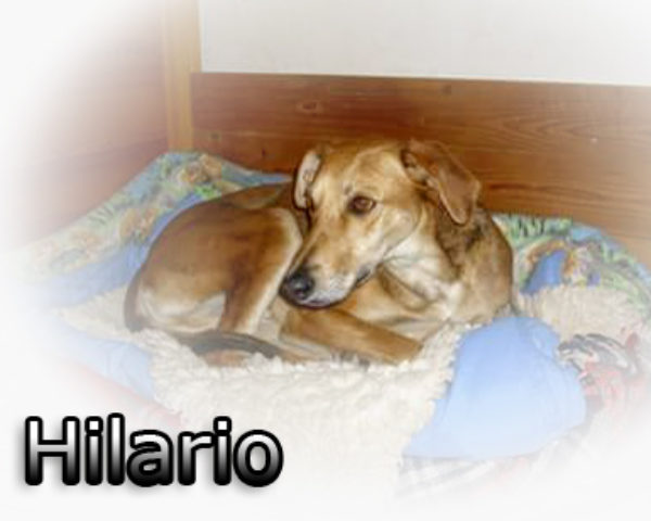 FB_IMG_1517333983422hp