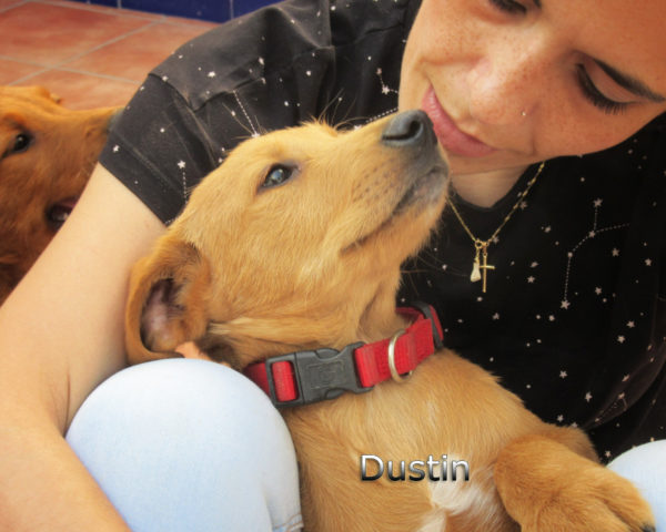 Dustin-(1)
