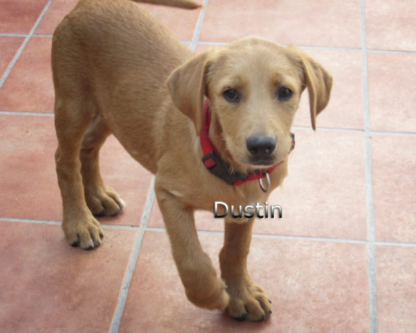 Dustin-(3)