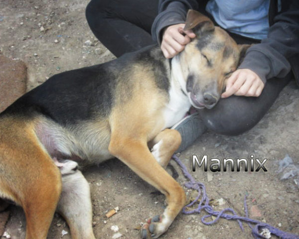 Mannix-(1)
