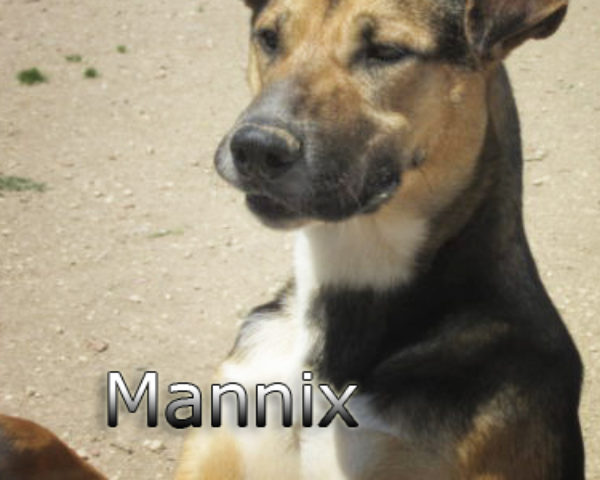 Mannix-(5)