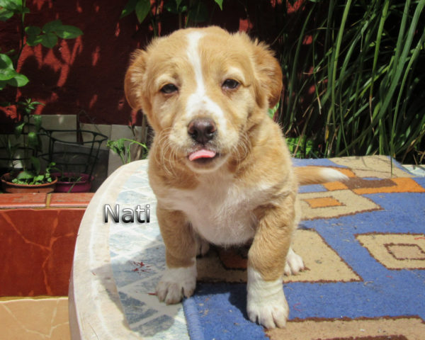 Nati-(1)