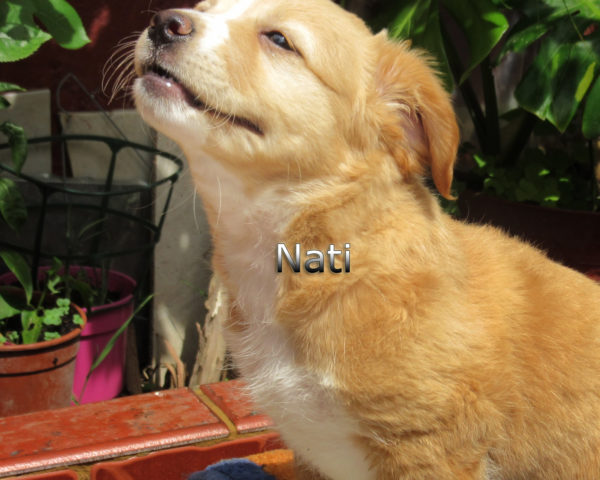 Nati-(4)