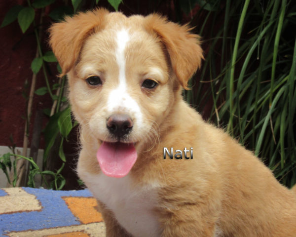 Nati-(6)