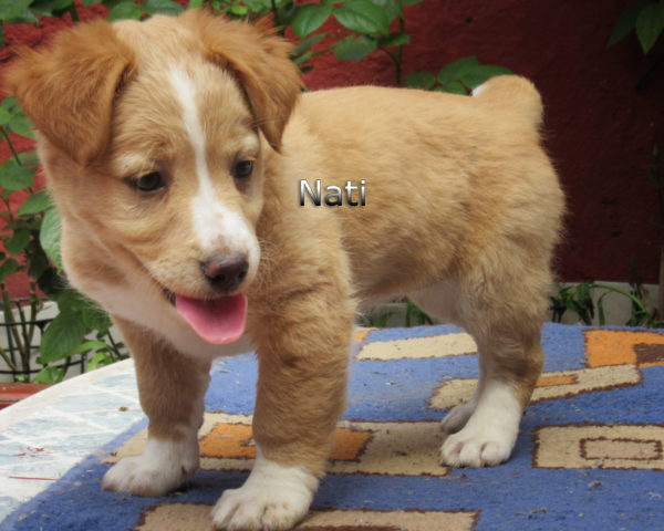 Nati-(7)