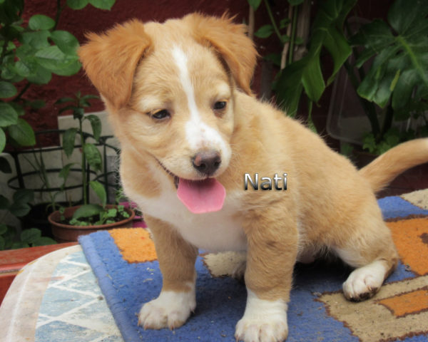 Nati-(9)