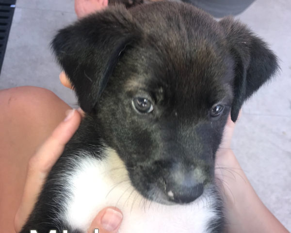 0917df41-0d0d-49e7-9ff5-78ce7341c800