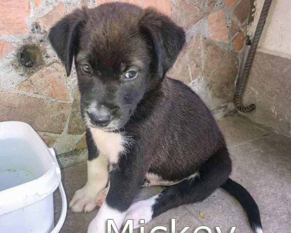 d33cc07d-166f-4149-b33d-764f3f8738a8