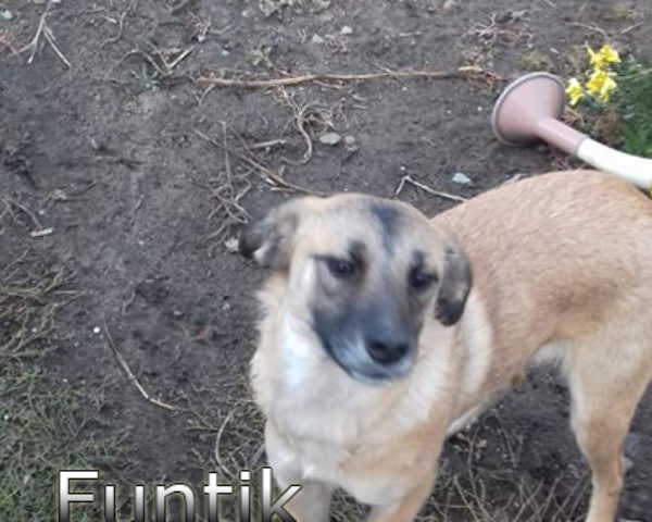 Funtik3b (2)