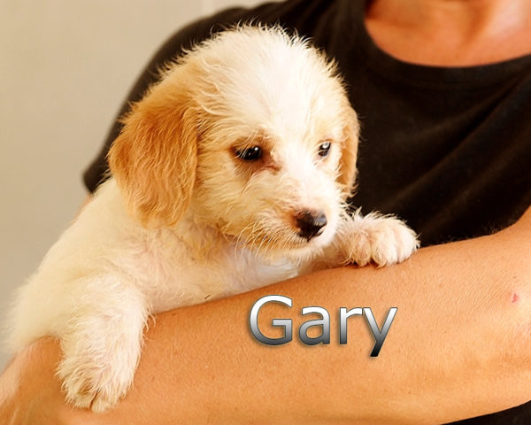GARY-002