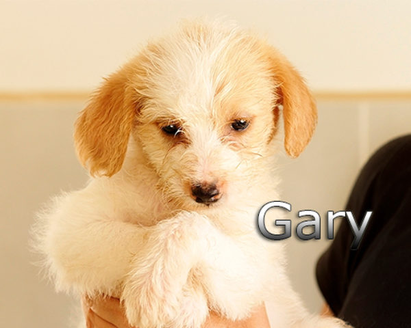 GARY-003