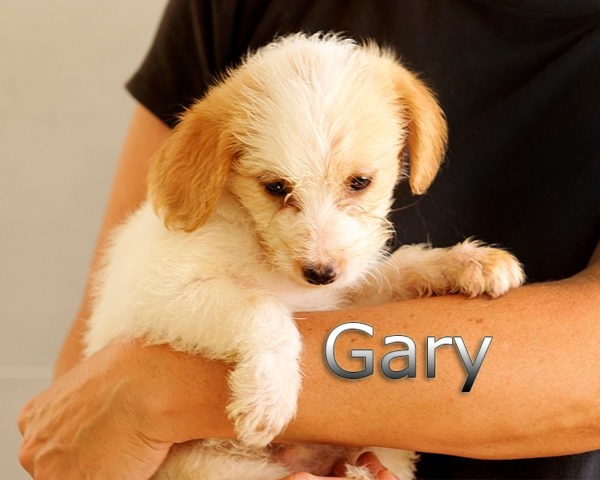GARY-004