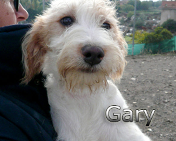 GARY-010web