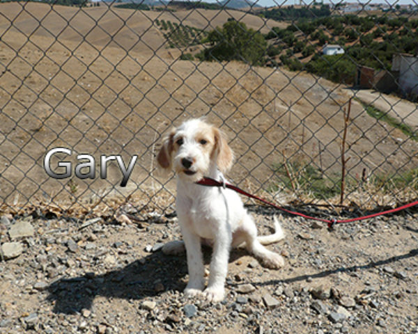 GARY-013web