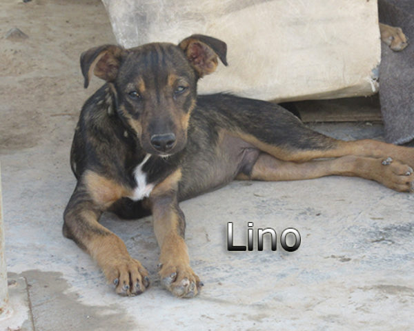 IMG_0879web