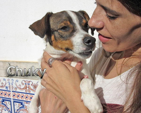 IMG_1086web