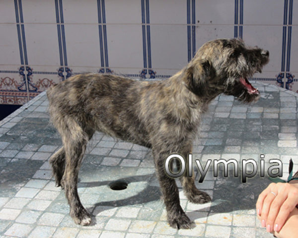 IMG_1204web