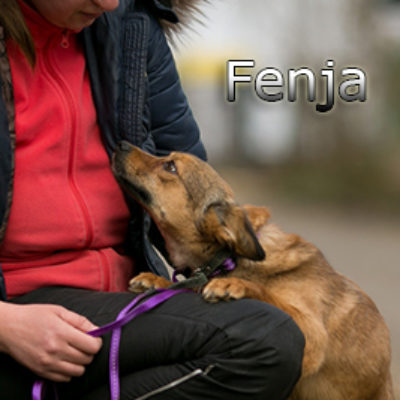 Fenja-(11)web