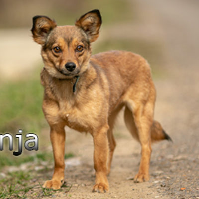Fenja-(2)web