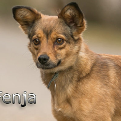 Fenja-(5)web