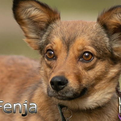 Fenja-(7)web