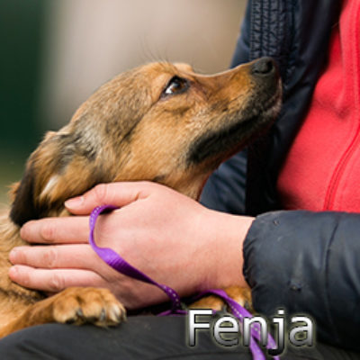 Fenja-(8)web