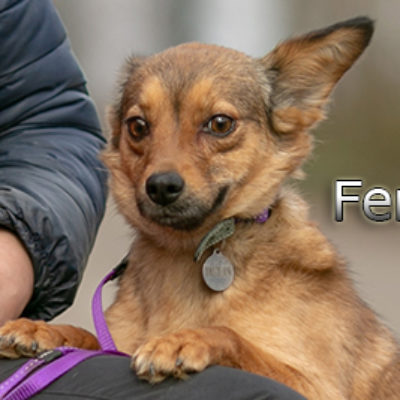 Fenja-(9)web