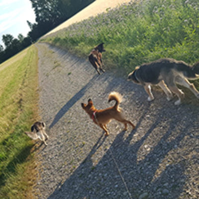 Fenja_072019-(1)web