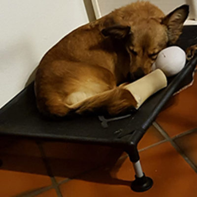 Fenja_072019-(2)web