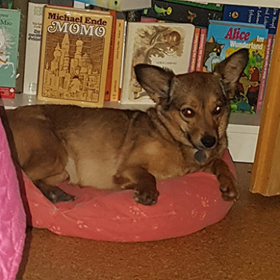 Fenja_072019-(3)web
