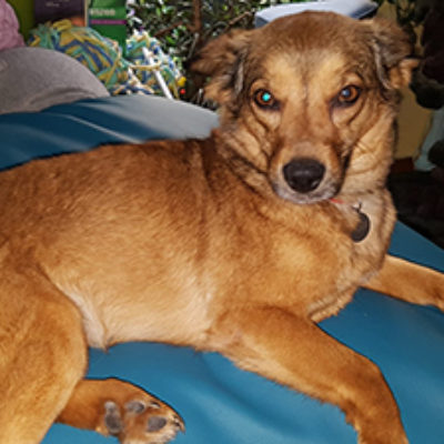 Fenja_072019-(4)web
