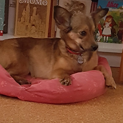 Fenja_072019-(5)web