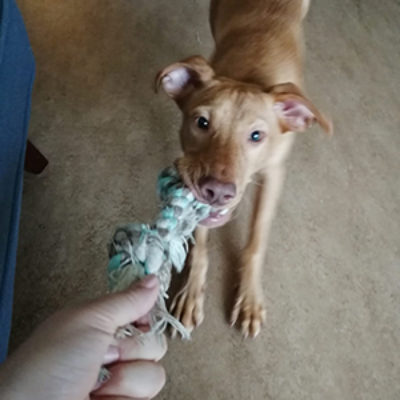 Cheddar_Update_06072019(2)web
