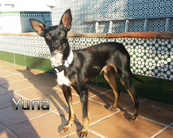 IMG-20181111-WA0033web