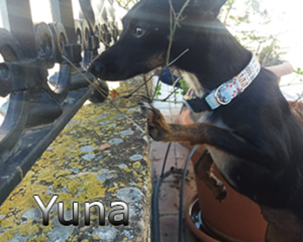 IMG-20181111-WA0036web